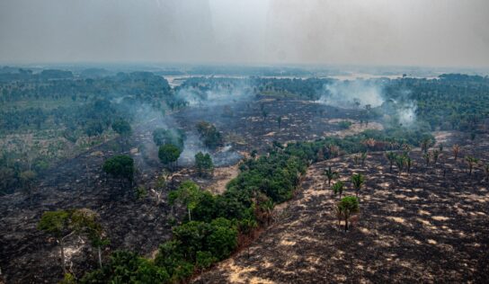 8 em cada 10 focos de fogo no Amazonas estão em imóveis rurais privados; queimadas disparam após o 1º turno