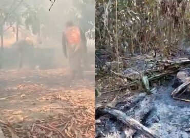 Queimadas destroem plantações e elevam em até 100% preço de derivados da mandioca em Parintins