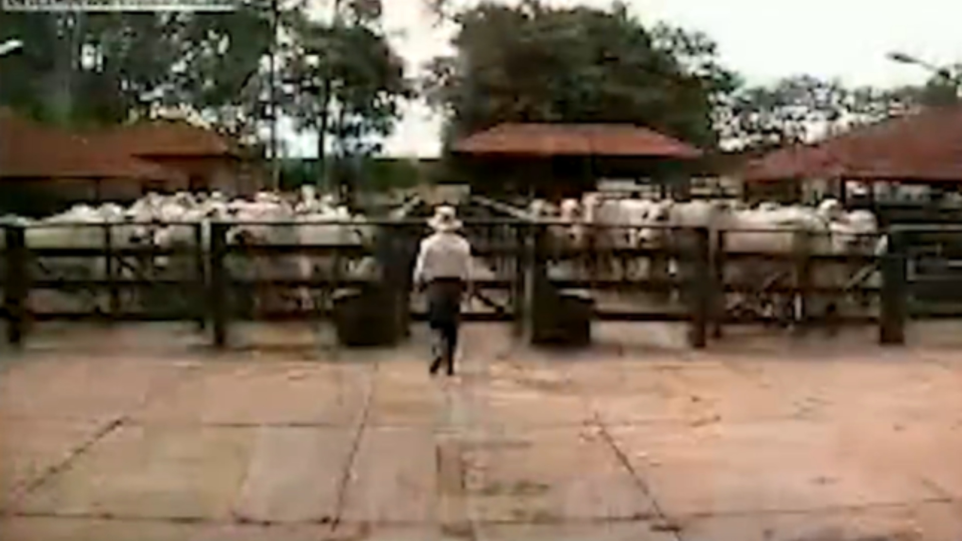 Regina Duarte fazenda