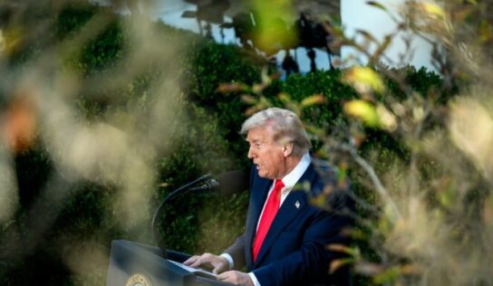O que disse Trump sobre eleições brasileiras
