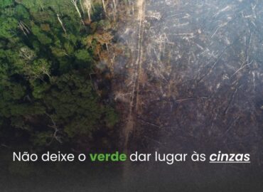 “Não deixe o verde dar lugar às cinzas”: FRAM lança campanha contra queimadas na Amazônia