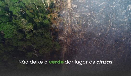 “Não deixe o verde dar lugar às cinzas”: FRAM lança campanha contra queimadas na Amazônia