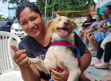 Prefeitura de Manaus abre agendamento on-line para castração de cães e gatos; veja como fazer
