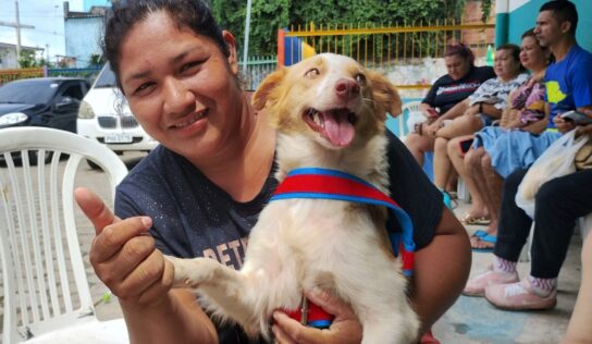 Prefeitura de Manaus abre agendamento on-line para castração de cães e gatos; veja como fazer