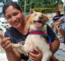 Prefeitura de Manaus abre agendamento on-line para castração de cães e gatos; veja como fazer