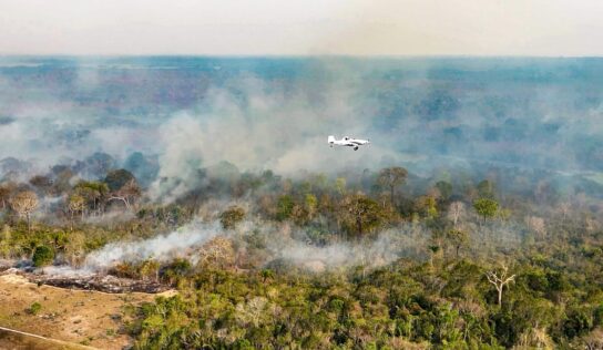 Quatro municípios do AM aparecem entre os 20 com mais focos de queimadas no país em outubro; veja lista