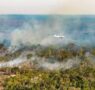 Cargueiros militares da FAB vão apoiar combate aos incêndios florestais no Amazonas