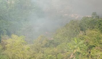 Incêndio atinge área de vegetação atrás de empresa na Zona Norte de Manaus