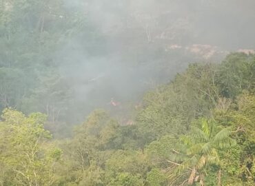 Incêndio atinge área de vegetação atrás de empresa na Zona Norte de Manaus