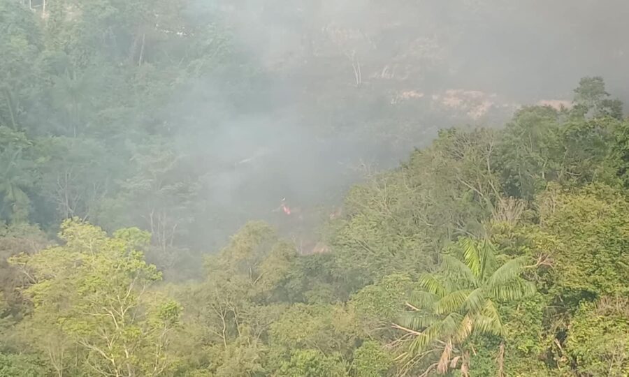 Incêndio atinge área de vegetação atrás de empresa na Zona Norte de Manaus
