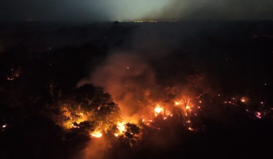 Amazonas registra 1,3 mil focos de incêndio em dez dias, alta de 271% em relação ao mesmo período de 2025